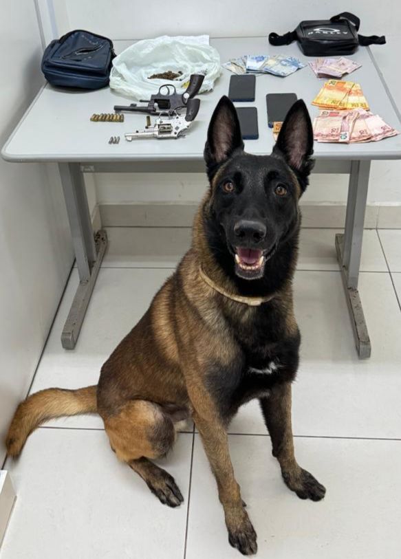 Apoio do cão K9 Bruck, do Canil da Polícia Militar de Araraquara   
